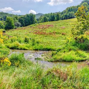 wytheville-151