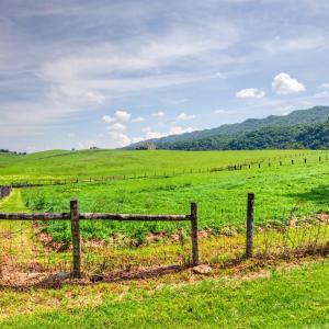 wytheville-157