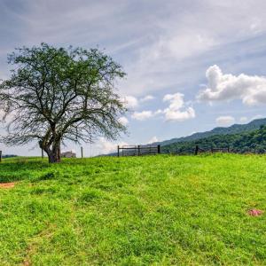 wytheville-133