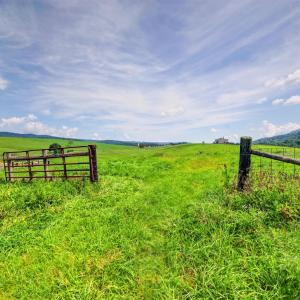wytheville-134