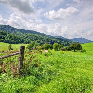 wytheville-136