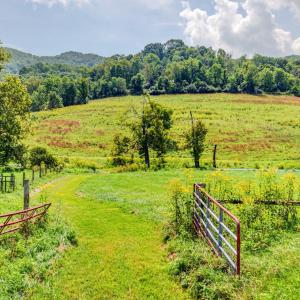 wytheville-143