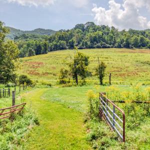 wytheville-144