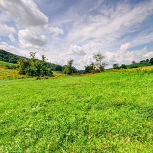 wytheville-146