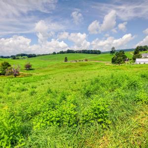 wytheville-152