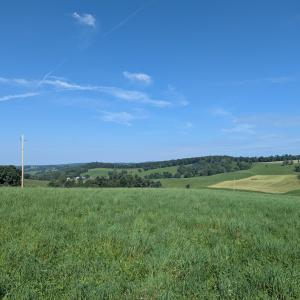 3a