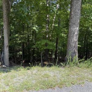 Lot 21 Fields Ave.