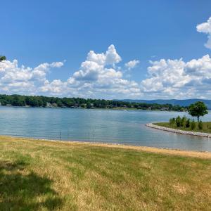 View from the Lot