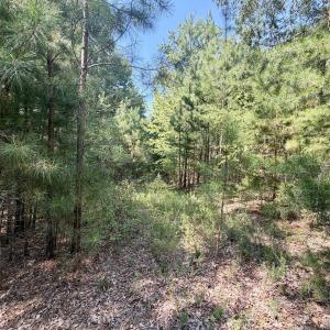 Pittsylvania Co. VA - Lot 98A Eagle Poin