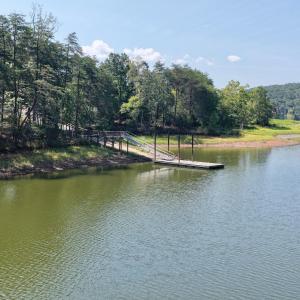 Pittsylvania Co. VA - Lot 98A Eagle Poin