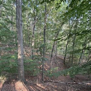 Pittsylvania Co. VA - Lot 98A Eagle Poin