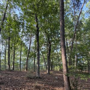Pittsylvania Co. VA - Lot 98A Eagle Poin