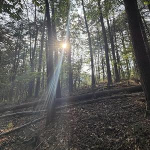 Pittsylvania Co. VA - Lot 98A Eagle Poin
