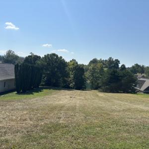 IMG_0531