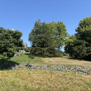 IMG_0549