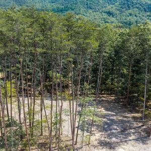 DJI_20260830120536_0080_D