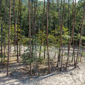 DJI_20260830120516_0078_D