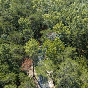 DJI_20260830115725_0053_D