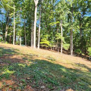 33 Key Lakewood Dr.