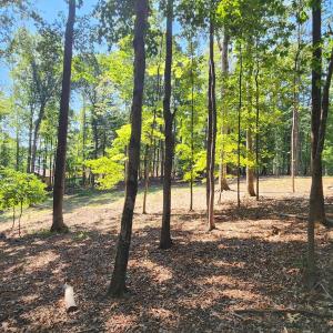 33 Key Lakewood Dr.