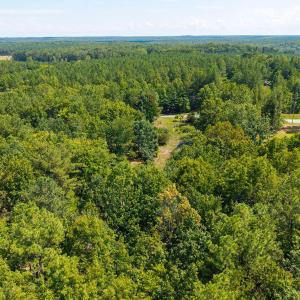 20260828-DJI_20260828143757_0002_D-Edit