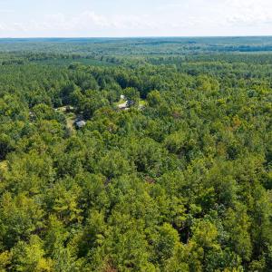 20260828-DJI_20260828143831_0005_D
