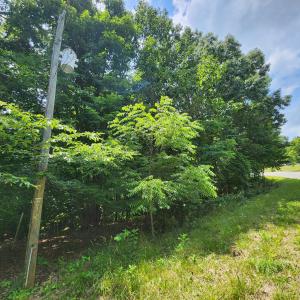 Diamond Hill Rd