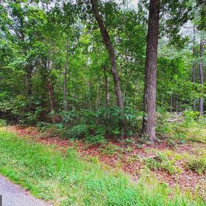 Photo #1 of GOVERNOR ALMOND RD, LOCUST GROVE, VA 2.0 acres