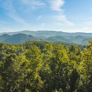 DJI_20260909094921_0994_D