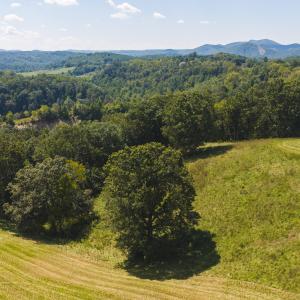 DJI_20260903133334_0942_D