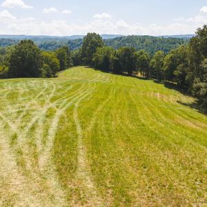 DJI_20260903133351_0943_D