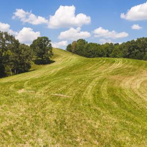 DJI_20260903133440_0945_D