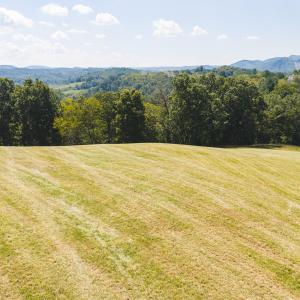 DJI_20260903133542_0949_D