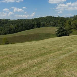 DJI_20260903133907_0952_D