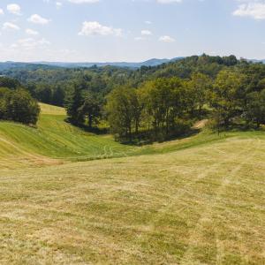 DJI_20260903133944_0954_D