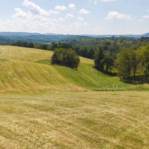 DJI_20260903133946_0955_D