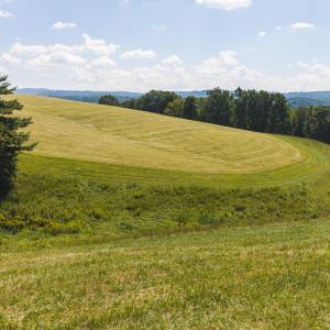 DJI_20260903134054_0958_D