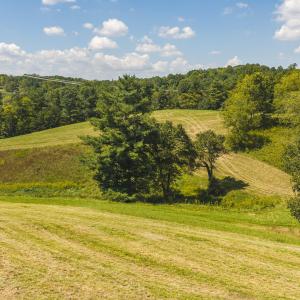 DJI_20260903134817_0969_D