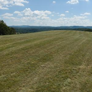 DJI_20260903134825_0971_D
