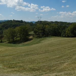 DJI_20260903134952_0974_D