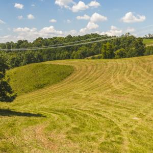 DJI_20260903135040_0976_D