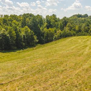 DJI_20260903135058_0977_D