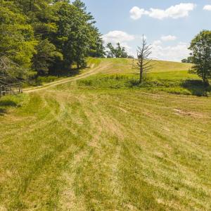 DJI_20260903135152_0981_D