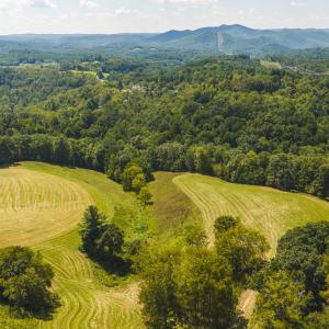DJI_20260903135331_0986_D