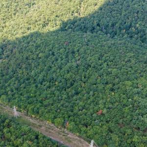 Bedford Co. VA - 0 Timberland Trail- 8