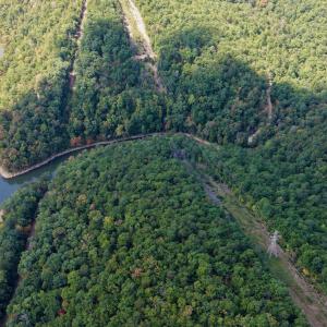 Bedford Co. VA - 0 Timberland Trail- 10