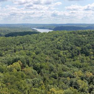 Bedford Co. VA - 0 Timberland Trail- 14