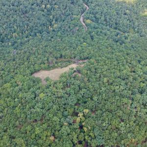 Bedford Co. VA - 0 Timberland Trail- 15