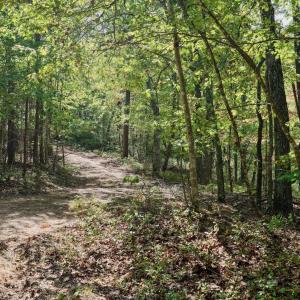 Bedford Co. VA - 0 Timberland Trail- 16