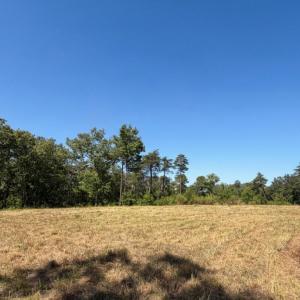 Bedford Co. VA - 0 Timberland Trail- Gro